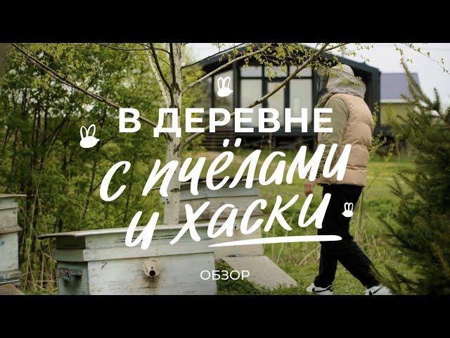 Жизнь в деревне: сколько стоит каркасный дом, как завести пчёл и содержать стаю хаски / Sewera
