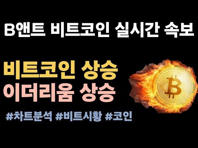 [실시간 LIVE] 비트코인 94K! / 이더리움, 2024년 비트코인보다 더 많은 장기 보유자 확보 #비트코인실시간 #이더리움 #리플 #솔라나 #도지코인