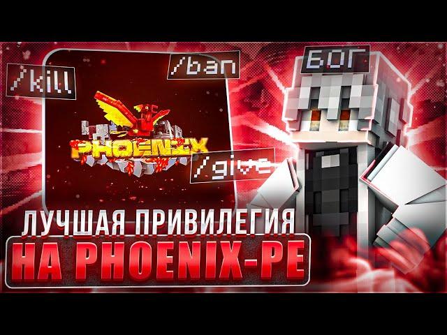 ИГРА ЗА ЛУЧШУЮ ПРИВИЛЕГИЮ НА PHOENIX-PE!!! // FunTime // NeverTime // HolyWorld // ReallyWorld