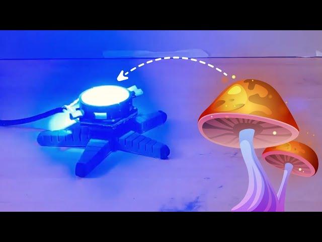 How Does Mushroom Controls This Robot?