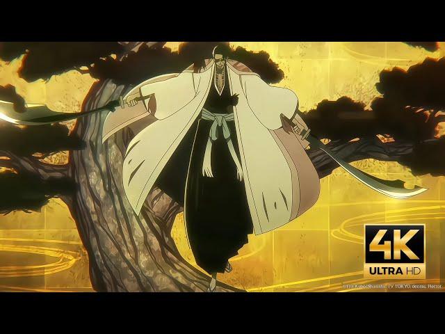 Shunsui kyoraku vs Lille Barro Full Fight (4K) | BLEACH: Thousand-Year Blood War