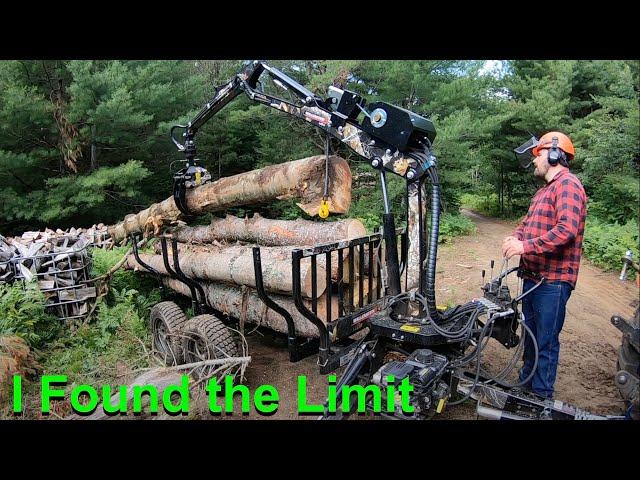 Little Log Loader Trailer Carries More than I Thought