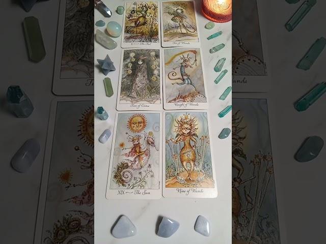 #randomtarotreadingtoday #tarot #reading #messages