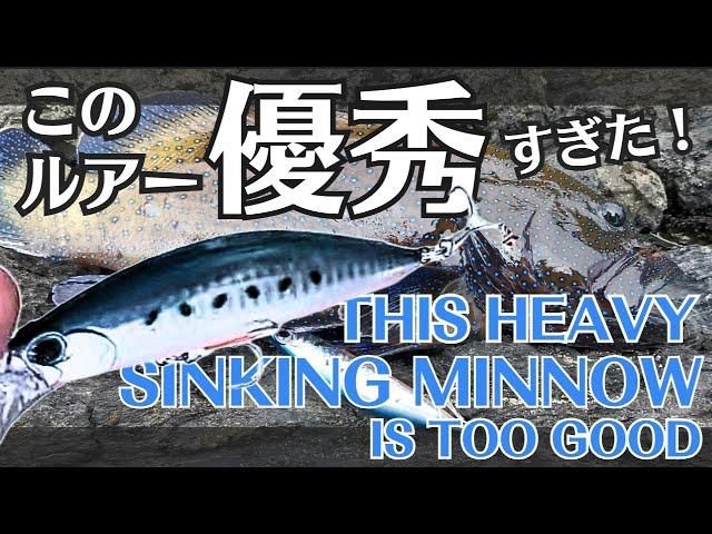 This heavy sinking minnow is too good