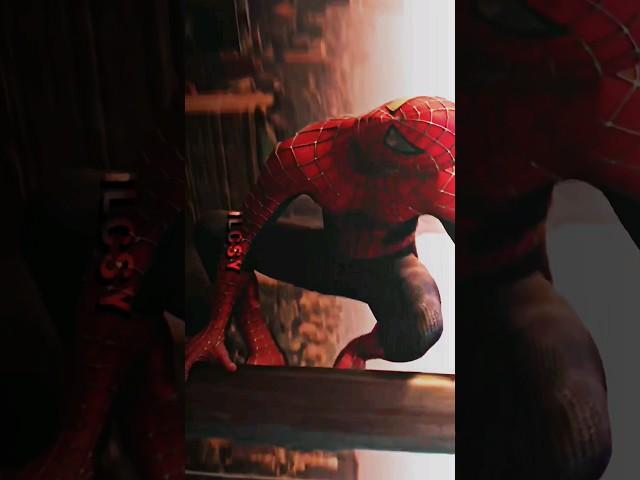 SPIDER-MAN edit