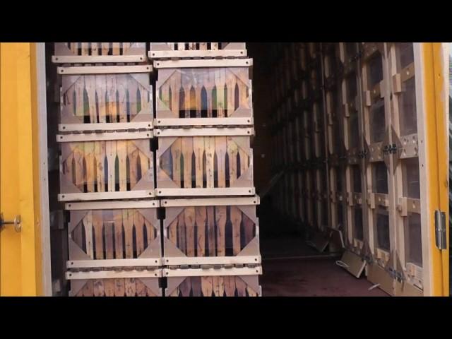 пасека берендей новое увлекательное хобби для начинающтх пчеловодов