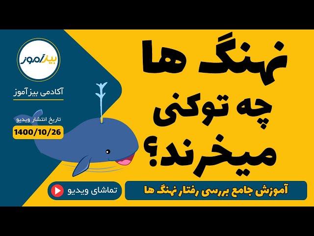 آموزش بررسی رفتار نهنگ های ارز دیجیتال