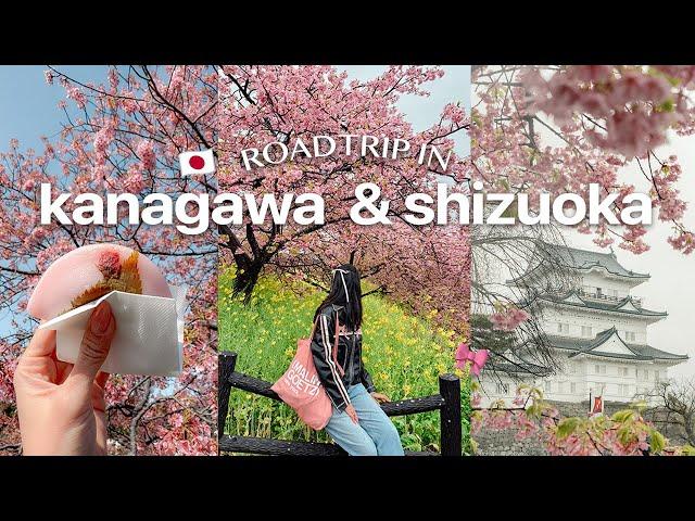 5 days in kanagawa and shizuoka (2 hrs from tokyo!) 