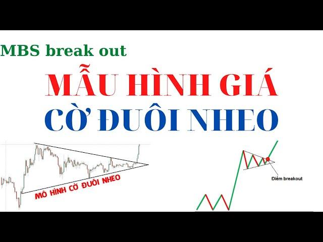 MẪU HÌNH GIÁ CỜ ĐUÔI NHEO