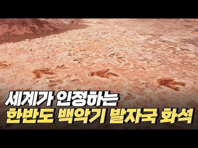 [핫클립] 세계적으로 인정받은 공룡 발자국 화석의 가치 / YTN 사이언스