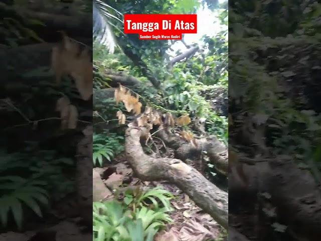 Tangga Keluar Di Atas Sumber Sugih Waras Kediri