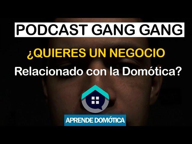 Como comenzar un negocio relacionado en la Domotica? l Episodio 20 l PODCAST GANG GANG