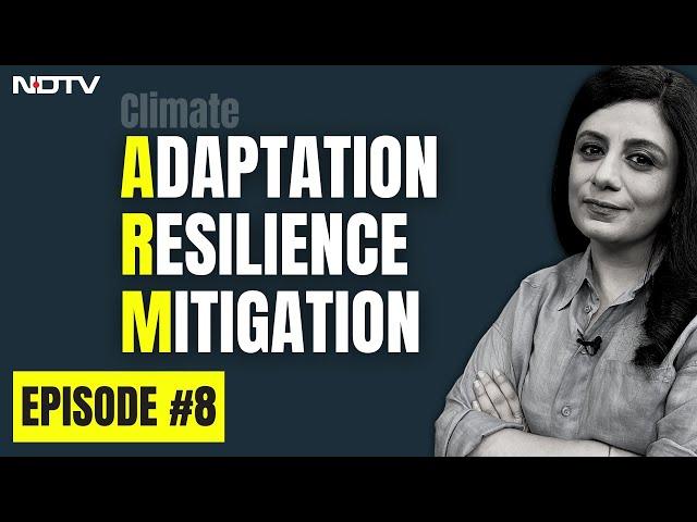 What is Climate Adaptation, Mitigation & Resilience? | Climate Vocabulary | The Climate Explainers