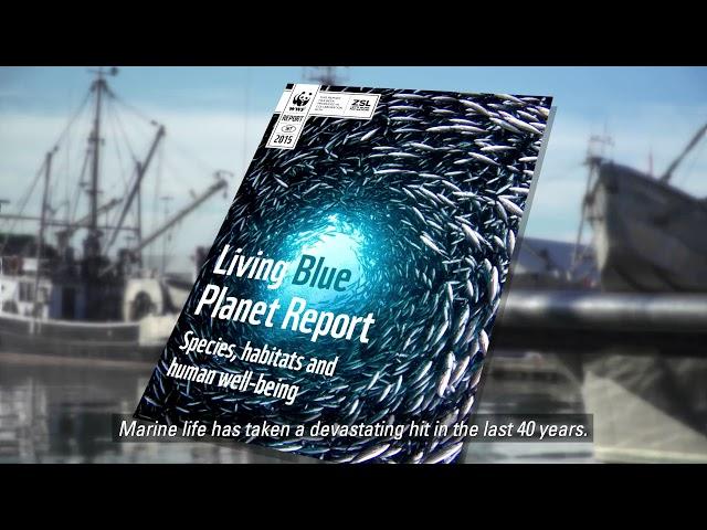 Volvo Environment Prize 2017