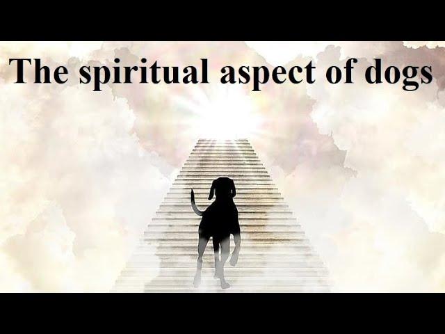 The spiritual aspect of dogs. (When The Spirit Takes Over)