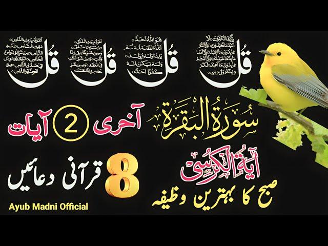 LIVE Morning Dua | 4 Qul | Ayatul Kursi | Surah Baqarah Last 2 Verses | 8 Powerful Duain | Ep 82