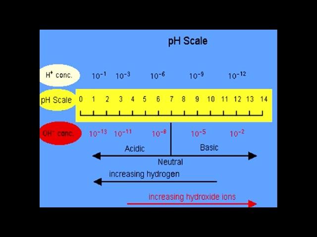 Protolytic equilibria and processes. Buffer solutions. 1 course. General medicine.