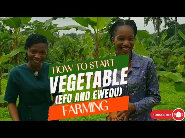 HOW TO START VEGETABLE(EWEDU AND EFO)FARMING IN NIGERIA.