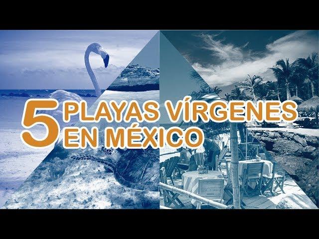 5 playas virgenes en mexico