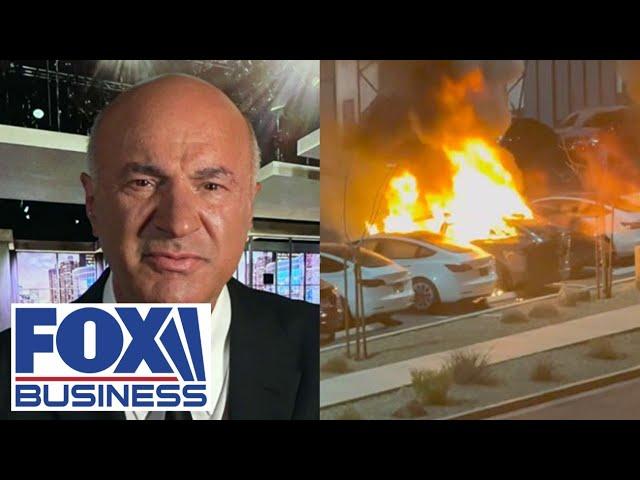 ‘YOU’RE GOING TO GO TO JAIL’: Kevin O’Leary warns alleged Tesla vandals