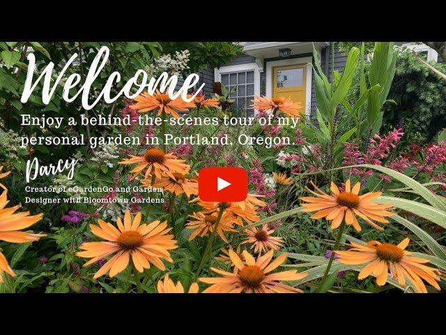 Behind the Scenes Tour of Bloomtown, My Personal Garden