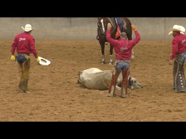 Stray Gathering - 2019 (32nd) Coors Cowboy Club Ranch Rodeo (Saturday)