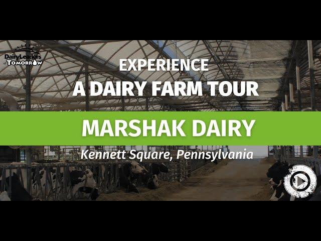 Experience  a Dairy Farm Tour - Marshak Dairy from the 2022 DLT Farm Tour