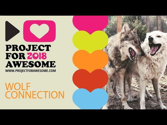 Wolf Connection Project for Awesome.