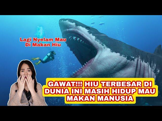 TERNYATA "MEGALODON" HIU PRASEJARAH TERBESAR KEMBALI HIDUP |Alur Cerita Film Miwanda Tanz (The Meg)