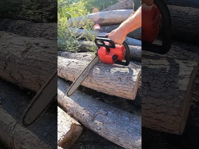 TRYING OUT AN #M18 #MILWAUKEE 16" #CHAINSAW | #milwaukeetools #milwaukeetool #milwaukeepackout