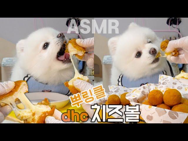 ASMR MUKBANG 뿌링뿌링 겉바속촉 강아지용 뿌링클 치즈볼 먹방 ~!! DHC KOREAN FRIED CHEESE BALL FOR DOGS EATING SOUNDS