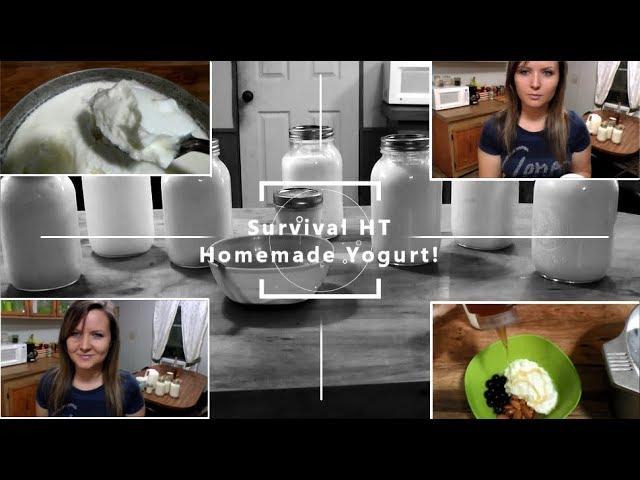 Super Easy Homemade Yogurt (Probiotic Rich)