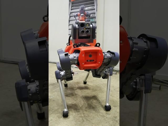 Vigilancia industrial por ANYbotics | ICRA 2024 | Nueva tecnología | Pro Robots