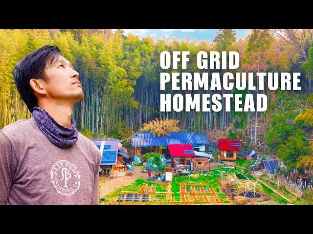 INCREDIBLE Tiny House OFF-GRID HOMESTEAD | SELF-BUILT