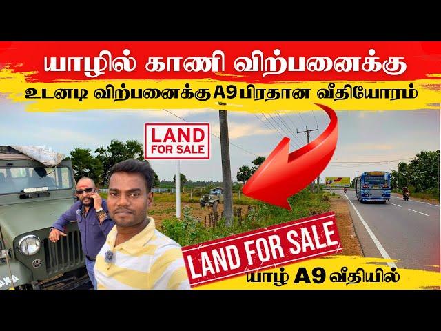 யாழில் A9 பிரதான வீதியோரம் காணி விற்பனைக்கு | SS Land Sale | Thanuran Vlogs