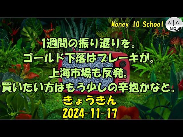 2024-11-17　きょうきんGT - Gold Today 日々の金価格を一望できるチャンネル！ (019 Salut Dor)