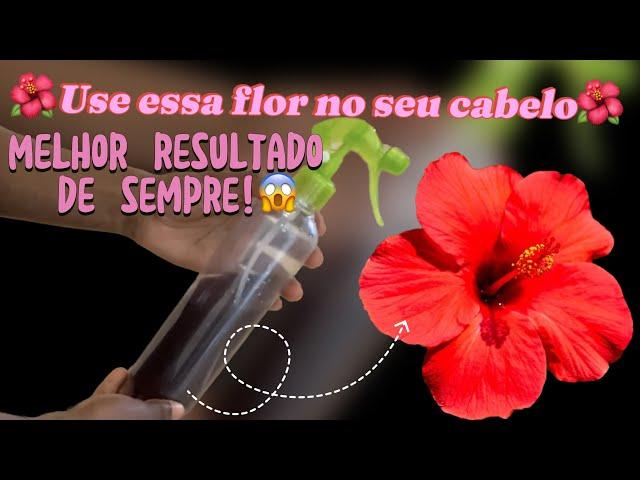 Benefícios da água de hibisco  no cabelo. (Acelera o crescimento capilar.)