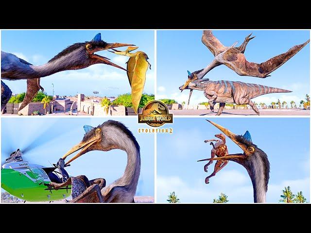 Quetzalcoatlus All Perfect Animations  Jurassic World Evolution 2 Dominion Dinosaur DLC Pack