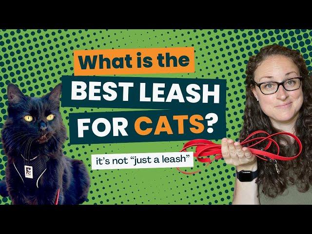 What is the Best Leash for Cats?