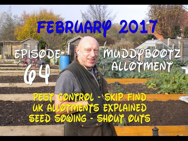 MuddyBootz Allotment #64 - Rats - UK Allotments - Leek sowing - Skip Find - Shout Outs