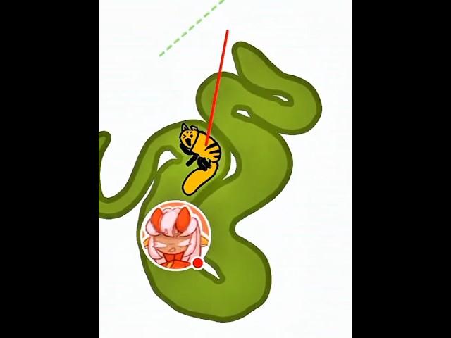 Help Pull Cat Out from Snake