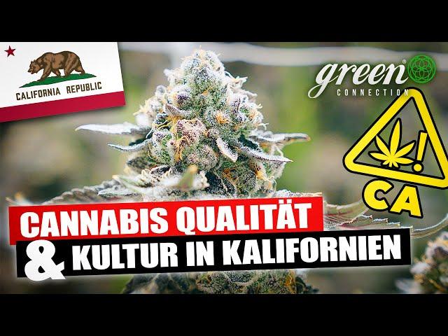 Was macht CANNABIS aus Kalifornien so besonders? | GreenConnection in Los Angeles & San Francisco