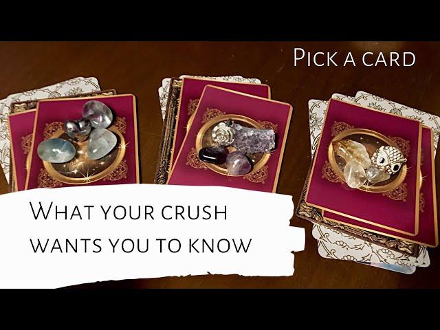 Pick A Card  What Your Crush Wants You To Know 