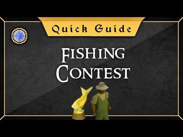 [Quick Guide] Fishing Contest