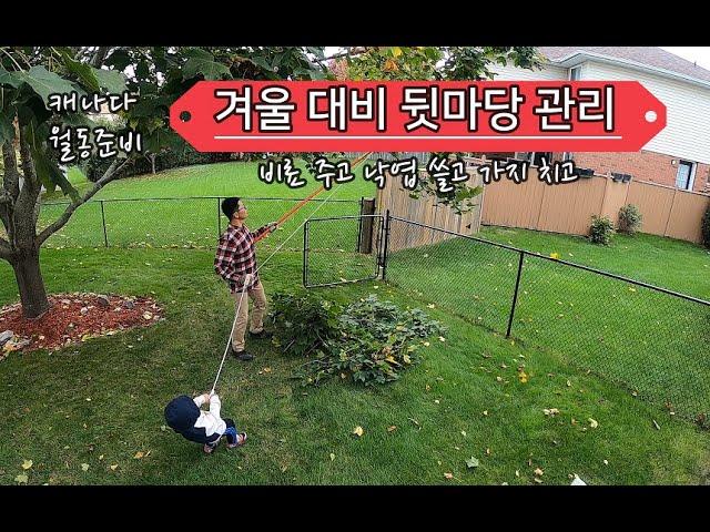 캐나다 월동준비 / 겨울 대비 뒷마당 관리 / 비료 주고 낙엽 줍고 가지 치고