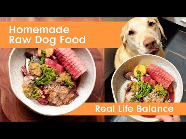 Homemade Raw Dog Food  Species-Appropriate, Whole-Foods Diet 