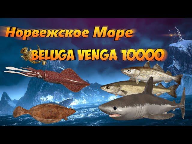 РР4 ️ Фарм  Тестирую 55 и Безымянную банку️ Beluga Venga 10000 ️ Норвежское Море   sani0K 