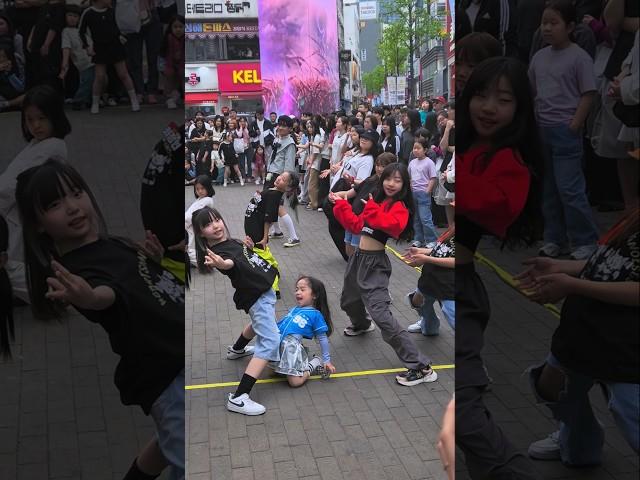 이거가능?지온이는 성공??#춤추는곰돌 #춤추는곰돌의랜덤댄스 #춤추는지온이 #music #shorts #kpop #dance #killthislove #blackpink #bk