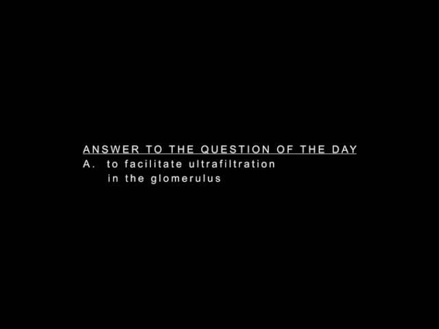 ANSWER TO THE QUESTION OF THE DAY STRUCTURES AND FUNCTIONS