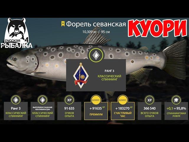 СУПЕР ТОЧКА С ТРОФЕЙНОЙ ФОРЕЛЬЮ НА КУОРИ В РУССКОЙ РЫБАЛКЕ 4 РР4